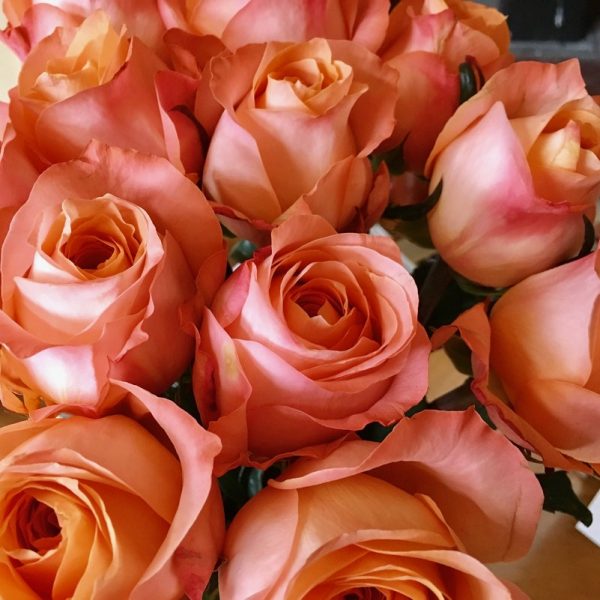 Choice of Roses