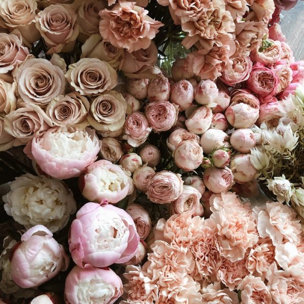 Designer's Choice Pastels